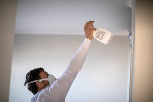 Best Same-Day Mold Removal  in Summerville, GA