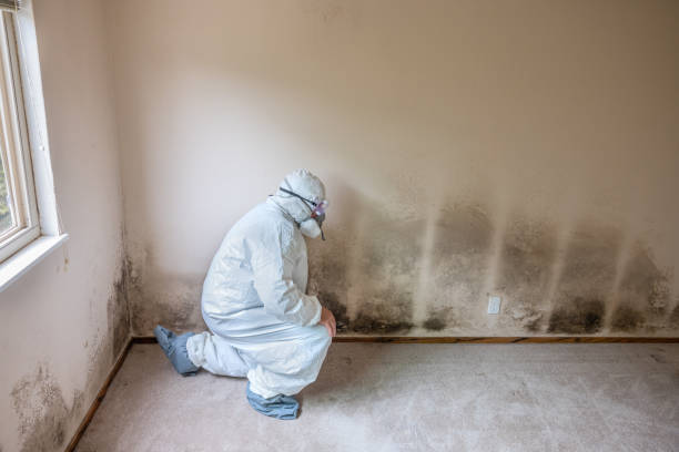 Best Crawl Space Mold Removal  in Summerville, GA