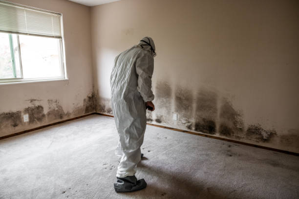 Best Mold Removal Company Near Me  in Summerville, GA