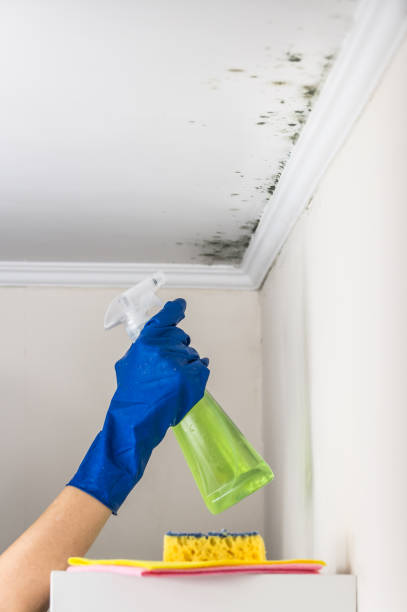 Best Crawl Space Mold Removal  in Summerville, GA